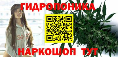 прущие грибы Бугуруслан