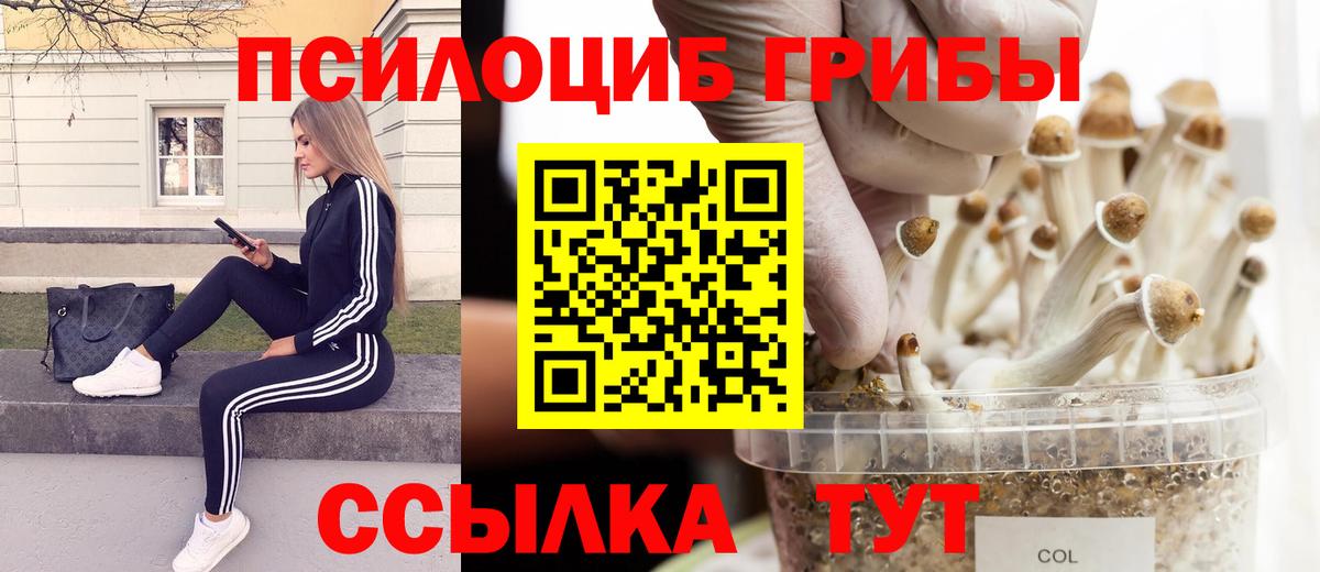 Галлюциногенные грибы ЛСД Карасук