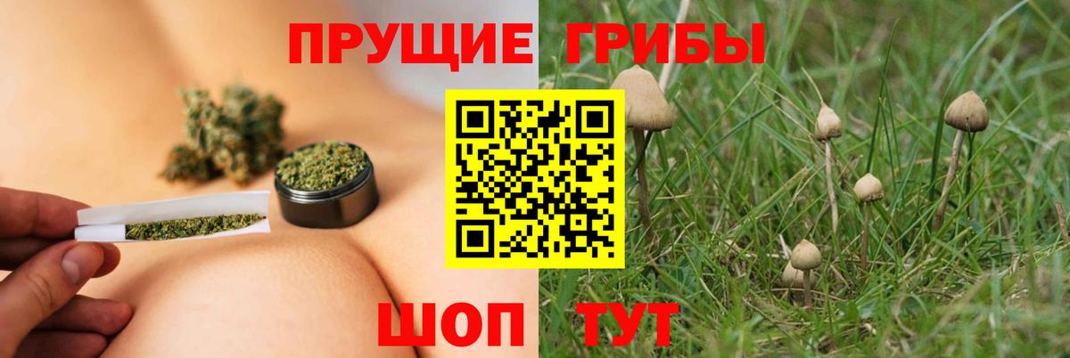 Псилоцибиновые грибы мухоморы  Вход с VPN  Карасук 